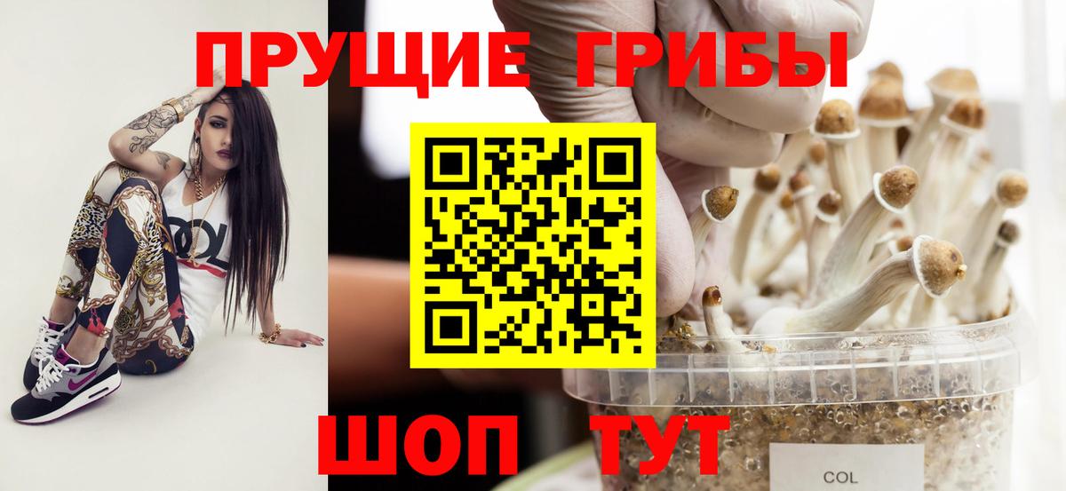 Псилоцибиновые грибы мицелий Тавда